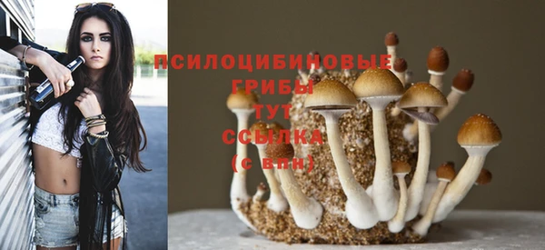 молекула духа Армянск
