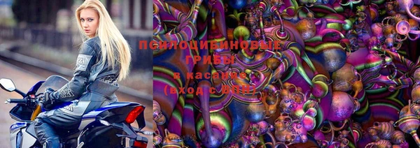 мяу мяу мука Арсеньев