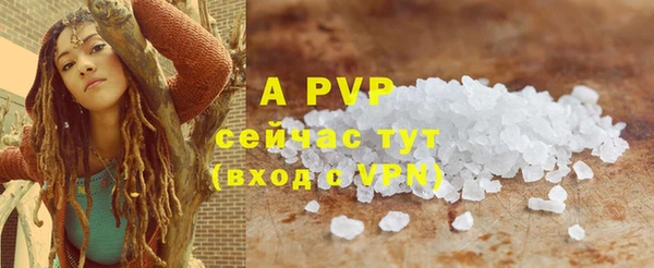 PSILOCYBIN Осташков